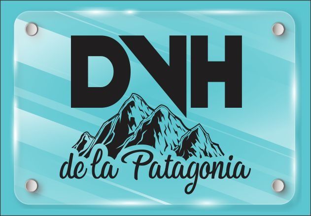 DVH DE LA PATAGONIA